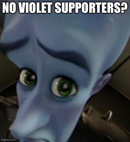NO VIOLET SUPPORTERS? | image tagged in megamind no bitches | made w/ Imgflip meme maker