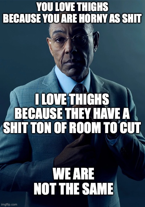 we are not the same | YOU LOVE THIGHS BECAUSE YOU ARE HORNY AS SHIT; I LOVE THIGHS BECAUSE THEY HAVE A SHIT TON OF ROOM TO CUT; WE ARE NOT THE SAME | image tagged in we are not the same | made w/ Imgflip meme maker