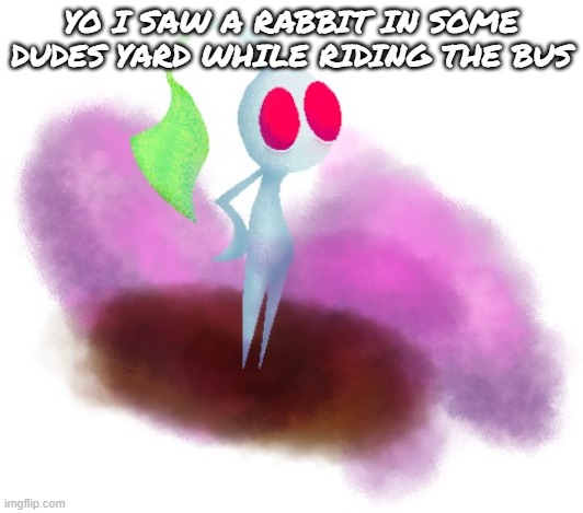 White pikmin | YO I SAW A RABBIT IN SOME DUDES YARD WHILE RIDING THE BUS | image tagged in white pikmin | made w/ Imgflip meme maker