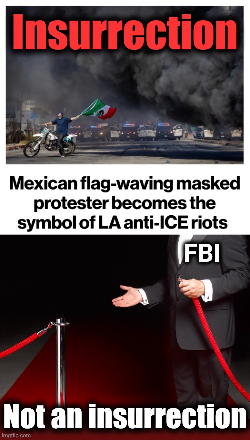 Know their insurrection | Insurrection; I; FBI; Not an insurrection | image tagged in memes,democrats,insurrection,above the law,illegal immigrants,riots | made w/ Imgflip meme maker