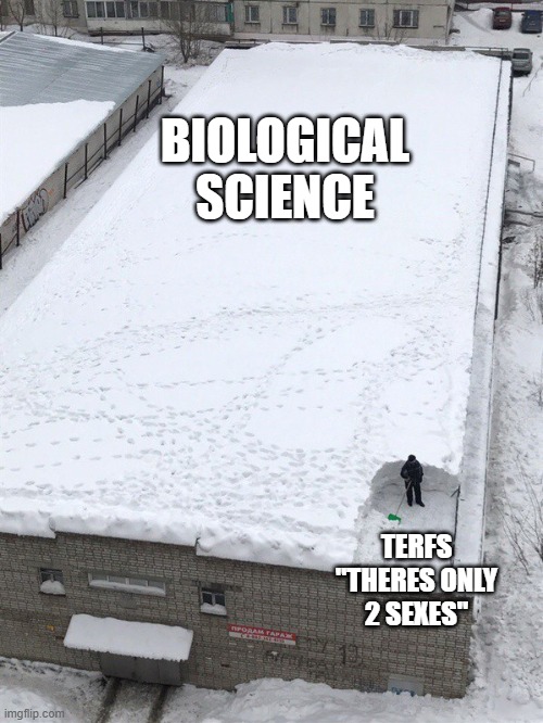 Snow roof | BIOLOGICAL SCIENCE; TERFS "THERES ONLY 2 SEXES" | image tagged in snow roof | made w/ Imgflip meme maker