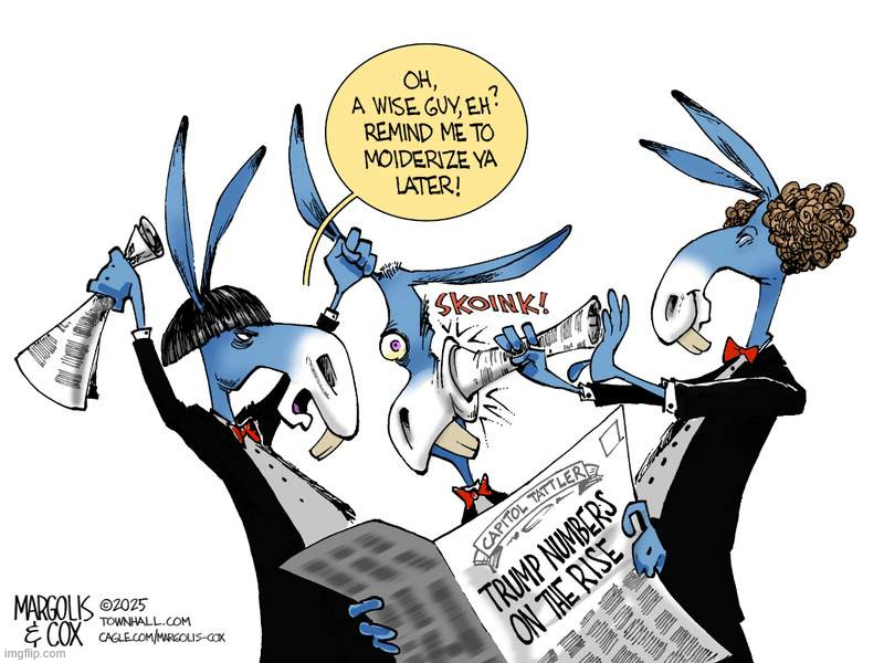 dems in denial | image tagged in political,reposts | made w/ Imgflip meme maker