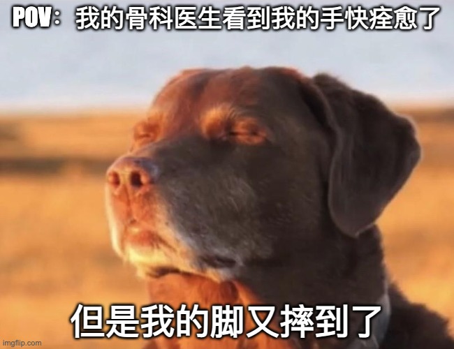 Random chinese meme hehe | POV：我的骨科医生看到我的手快痊愈了; 但是我的脚又摔到了 | image tagged in blissful dog | made w/ Imgflip meme maker