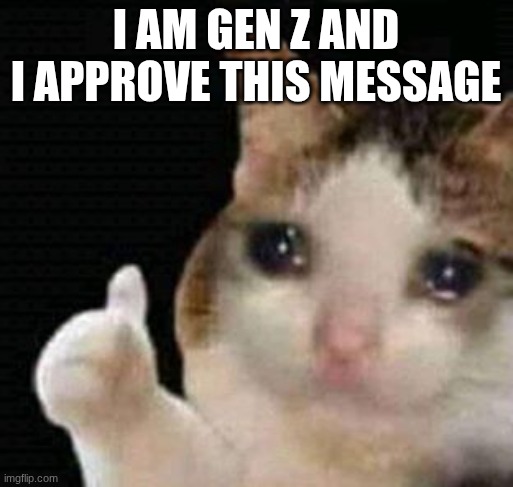 I AM GEN Z AND I APPROVE THIS MESSAGE | image tagged in sad thumbs up cat | made w/ Imgflip meme maker