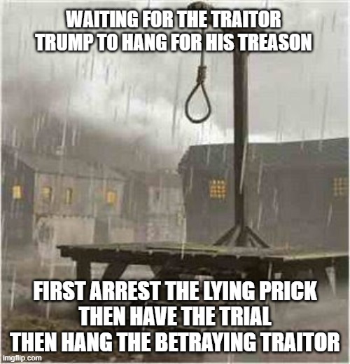 Speedy Trial then hang Traitor Trump | WAITING FOR THE TRAITOR TRUMP TO HANG FOR HIS TREASON; FIRST ARREST THE LYING PRICK
THEN HAVE THE TRIAL
THEN HANG THE BETRAYING TRAITOR | image tagged in gallows | made w/ Imgflip meme maker