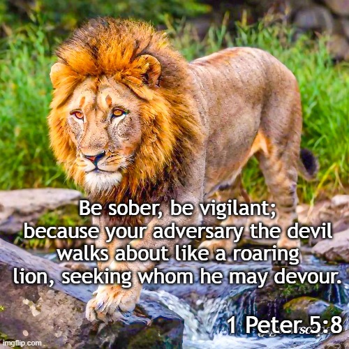 1 Peter 5:8 | Be sober, be vigilant; because your adversary the devil walks about like a roaring lion, seeking whom he may devour. 1 Peter 5:8 | image tagged in lion,prowl,enemy | made w/ Imgflip meme maker