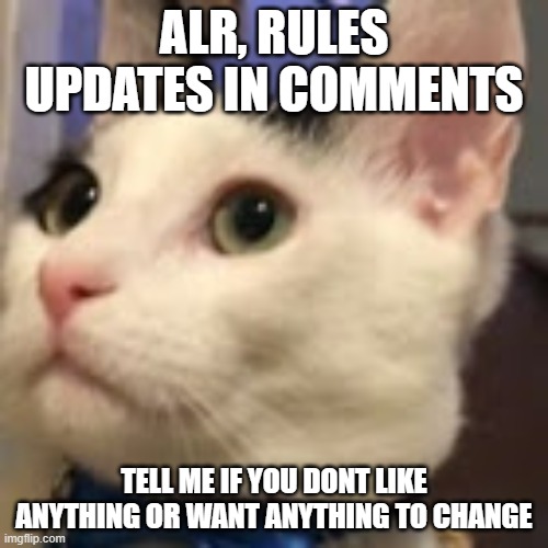 le cat | ALR, RULES UPDATES IN COMMENTS; TELL ME IF YOU DONT LIKE ANYTHING OR WANT ANYTHING TO CHANGE | image tagged in le cat | made w/ Imgflip meme maker