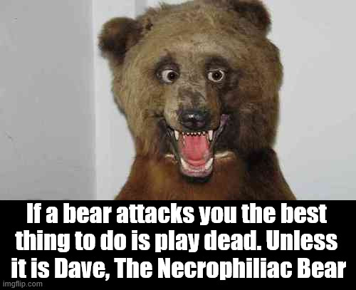 Be careful on the bear | If a bear attacks you the best 
thing to do is play dead. Unless 
it is Dave, The Necrophiliac Bear | image tagged in bad taxidermy bear,dark humor | made w/ Imgflip meme maker