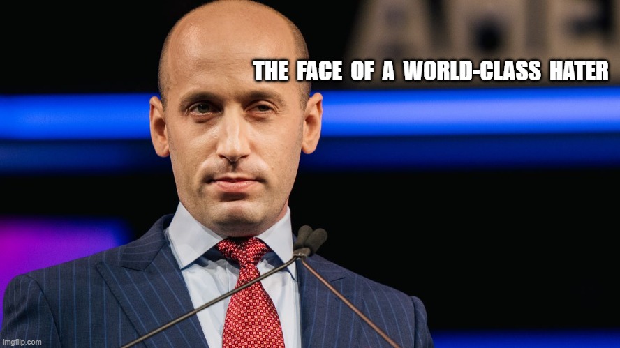 World Class Hater | THE  FACE  OF  A  WORLD-CLASS  HATER | image tagged in stephen miller | made w/ Imgflip meme maker