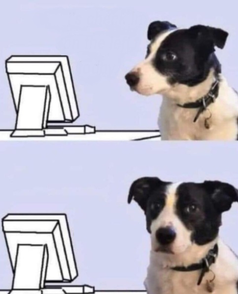 dog computer Blank Meme Template