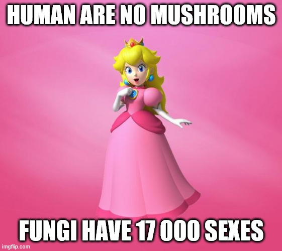 Princess Peach | HUMAN ARE NO MUSHROOMS FUNGI HAVE 17 000 SEXES | image tagged in princess peach | made w/ Imgflip meme maker