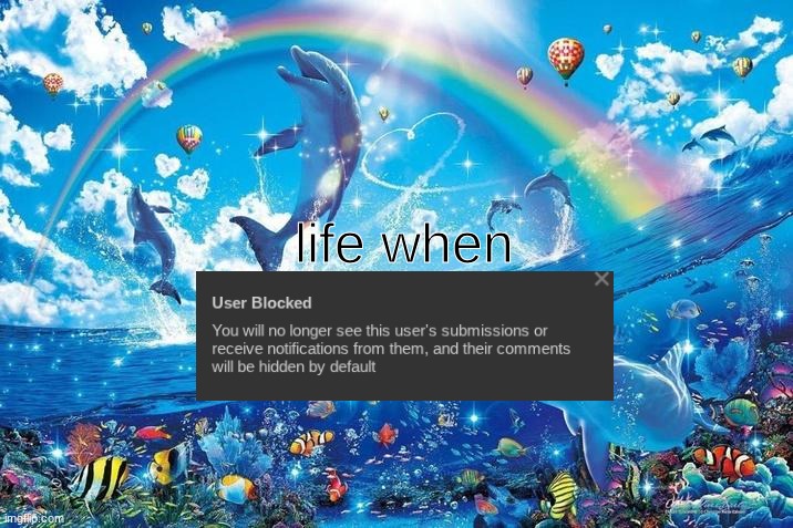 Happy dolphin rainbow | life when | image tagged in happy dolphin rainbow | made w/ Imgflip meme maker
