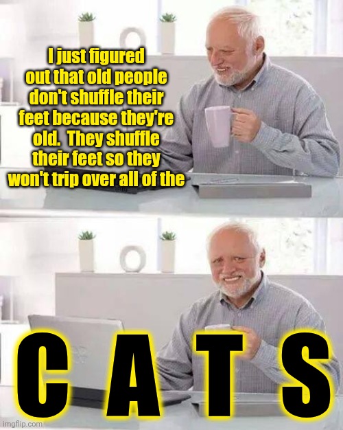 Do You Know What Happens After All Your Beloved Dogs Cross Over?  Cats.  Cats Happen. | I just figured out that old people don't shuffle their feet because they're old.  They shuffle their feet so they won't trip over all of the; C  A  T  S | image tagged in memes,hide the pain harold,cats,wrong neighboorhood cats,two cats fighting for real,cats with guns | made w/ Imgflip meme maker