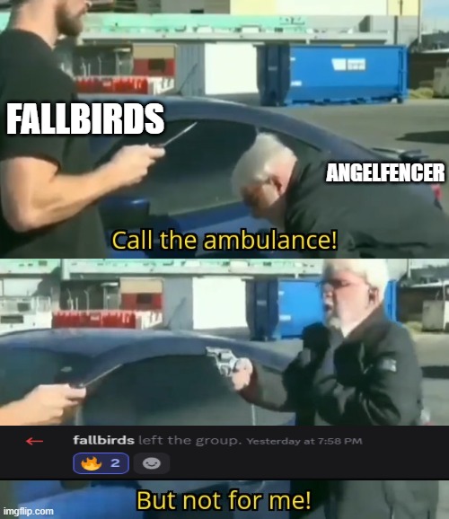 finally some peace | FALLBIRDS; ANGELFENCER | image tagged in call an ambulance but not for me,discord,funny,drama | made w/ Imgflip meme maker