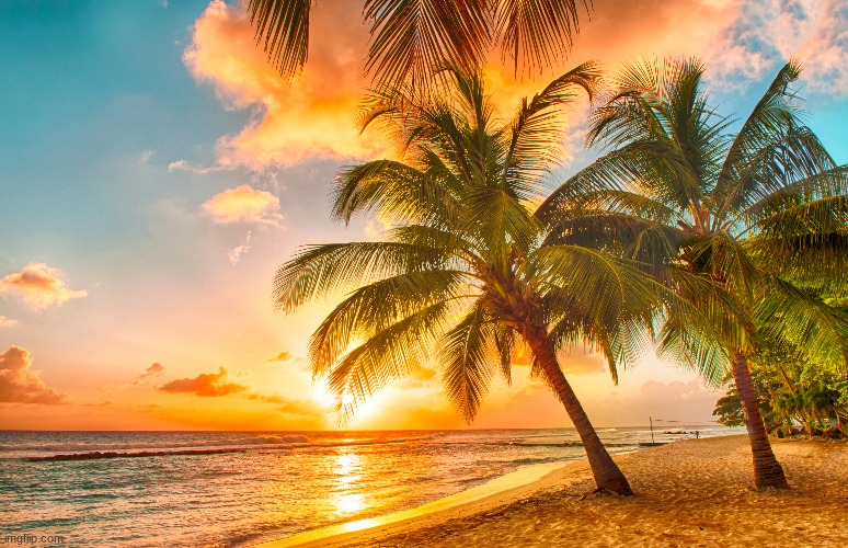 Sunset | image tagged in beautiful sunset,beach | made w/ Imgflip meme maker