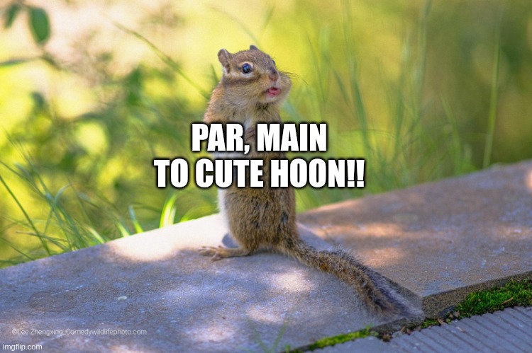 par main to cute hooon | PAR, MAIN TO CUTE HOON!! | image tagged in par main to cute hooon | made w/ Imgflip meme maker