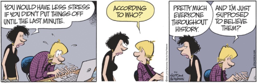 Zits | image tagged in comics | made w/ Imgflip meme maker