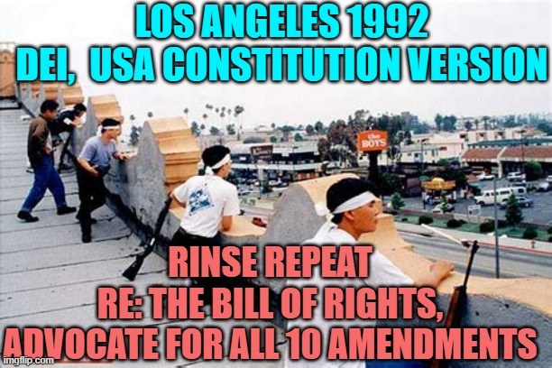 dei hire | LOS ANGELES 1992
DEI,  USA CONSTITUTION VERSION; RINSE REPEAT
RE: THE BILL OF RIGHTS,
ADVOCATE FOR ALL 10 AMENDMENTS | image tagged in rooftop koreans,donald trump approves,swimming pool,movie stars,beverly hillbillies,gavin | made w/ Imgflip meme maker