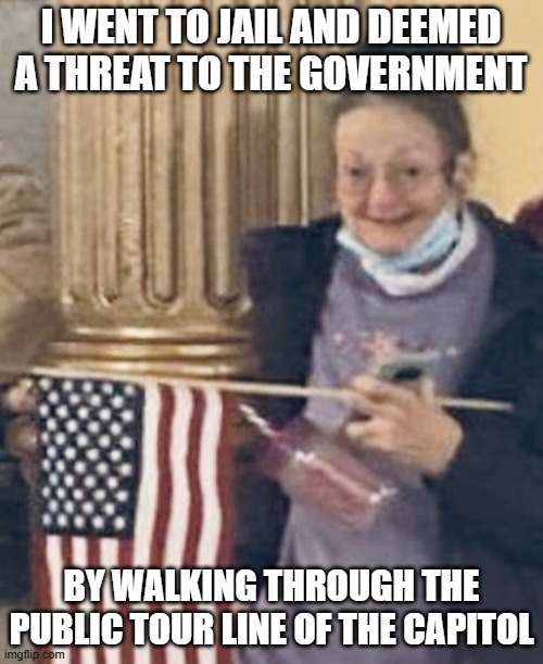 January 6th Terrorist | I WENT TO JAIL AND DEEMED A THREAT TO THE GOVERNMENT BY WALKING THROUGH THE PUBLIC TOUR LINE OF THE CAPITOL | image tagged in january 6th terrorist | made w/ Imgflip meme maker