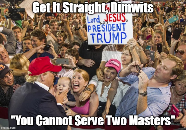 Get It Straight, Dimwits | Get It Straight, Dimwits; "You Cannot Serve Two Masters" | image tagged in trump,christian conservatives are neither,you cannot serve two masters,the sheeple | made w/ Imgflip meme maker
