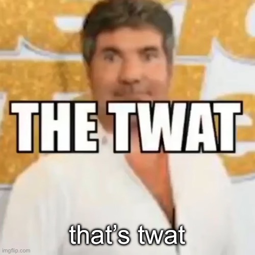 the twat | that’s twat | image tagged in the twat | made w/ Imgflip meme maker