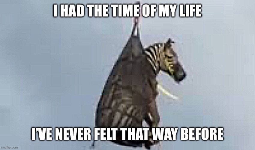 Zebra escape | I HAD THE TIME OF MY LIFE; I’VE NEVER FELT THAT WAY BEFORE | image tagged in zebra escape | made w/ Imgflip meme maker