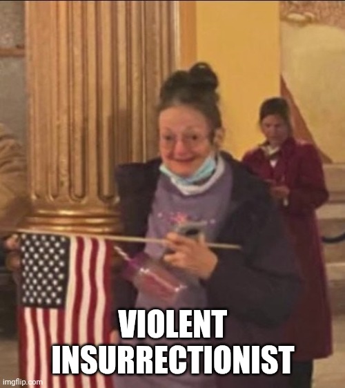 January 6 Insurrectionist | VIOLENT INSURRECTIONIST | image tagged in january 6 insurrectionist | made w/ Imgflip meme maker