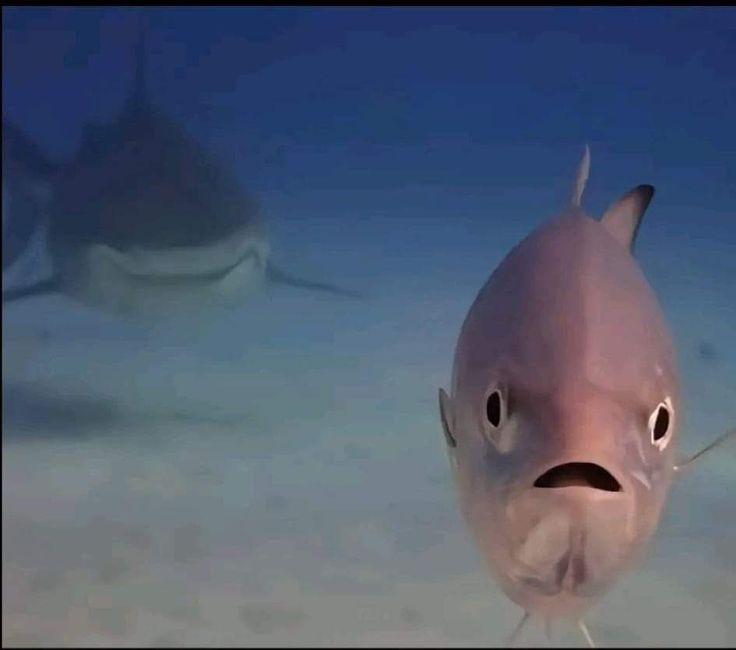 Attacked from behind Blank Meme Template