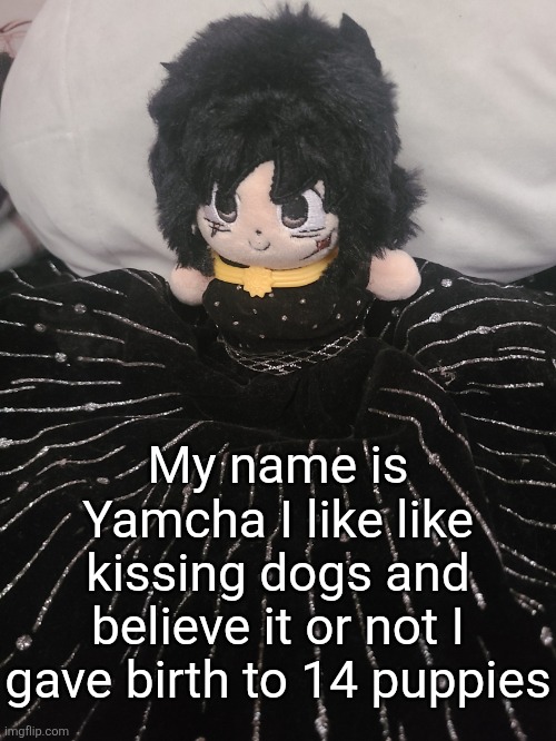 me if u even care,,,,,,, | My name is Yamcha I like like kissing dogs and believe it or not I gave birth to 14 puppies | image tagged in me if u even care | made w/ Imgflip meme maker