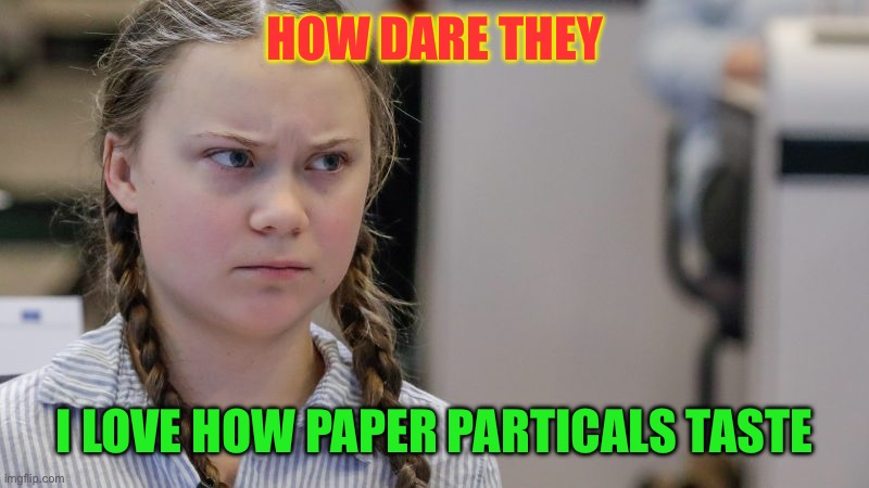 HOW DARE THEY I LOVE HOW PAPER PARTICALS TASTE | image tagged in pissedoff greta | made w/ Imgflip meme maker