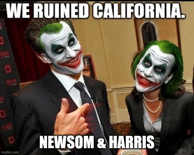 We ruined California | NEWSOM & HARRIS | image tagged in newsom,gavin newsom,kamala harris | made w/ Imgflip meme maker