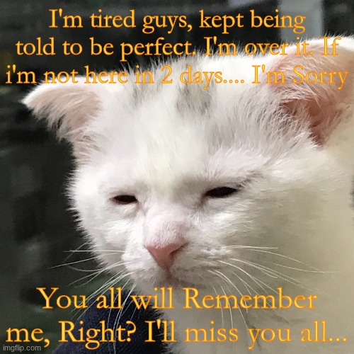 I'm awake, but at what cost? | I'm tired guys, kept being told to be perfect. I'm over it. If i'm not here in 2 days.... I'm Sorry; You all will Remember me, Right? I'll miss you all... | image tagged in i'm awake but at what cost,apology | made w/ Imgflip meme maker