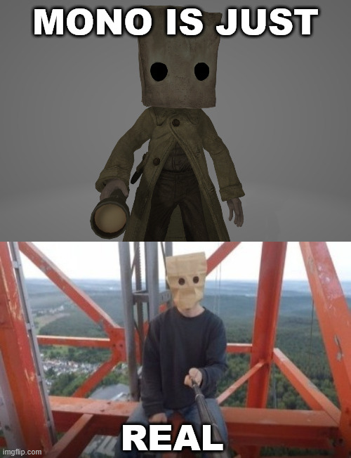 Mono is just real | MONO IS JUST; REAL | image tagged in creepypasta,meme,lattice climbing,climber,mono,little nightmares | made w/ Imgflip meme maker