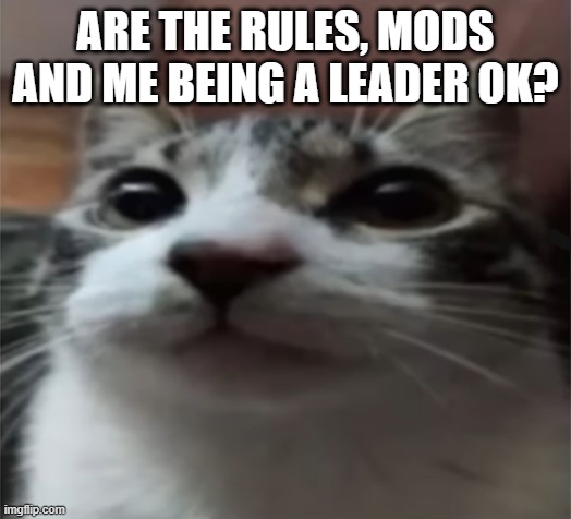 sans of topic | ARE THE RULES, MODS AND ME BEING A LEADER OK? | image tagged in heya kid im the great sans of topic | made w/ Imgflip meme maker
