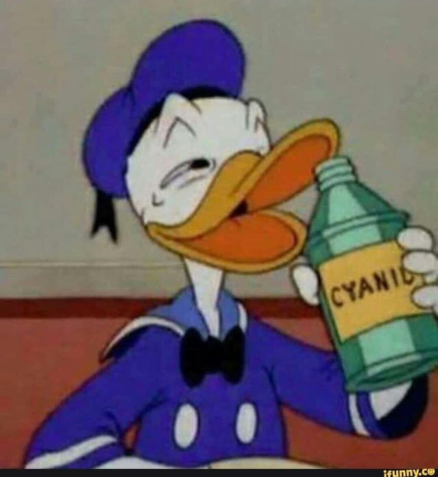Unsolicited Duck Pic Blank Meme Template