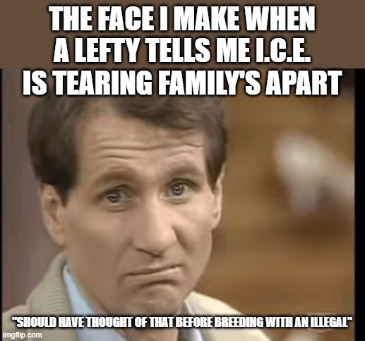Send them back together is the perfect solution | THE FACE I MAKE WHEN A LEFTY TELLS ME I.C.E. IS TEARING FAMILY'S APART; "SHOULD HAVE THOUGHT OF THAT BEFORE BREEDING WITH AN ILLEGAL" | image tagged in illegal immigration,deportation | made w/ Imgflip meme maker