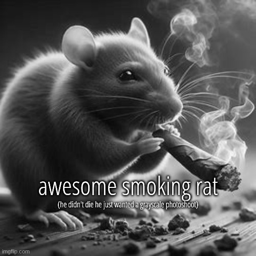 repost if you agree | awesome smoking rat; (he didn't die he just wanted a grayscale photoshoot) | image tagged in repost if you agree | made w/ Imgflip meme maker