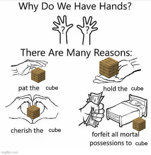 Why do we have hands? (all blank) | cube cube cube cube | image tagged in why do we have hands all blank | made w/ Imgflip meme maker