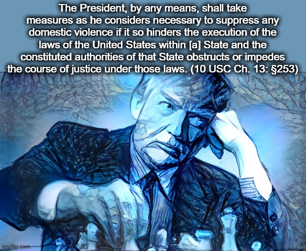 Interference with State and Federal Law | The President, by any means, shall take measures as he considers necessary to suppress any domestic violence if it so hinders the execution of the laws of the United States within [a] State and the constituted authorities of that State obstructs or impedes the course of justice under those laws. (10 USC Ch. 13: §253) | image tagged in trump,interference with state and federal law | made w/ Imgflip meme maker