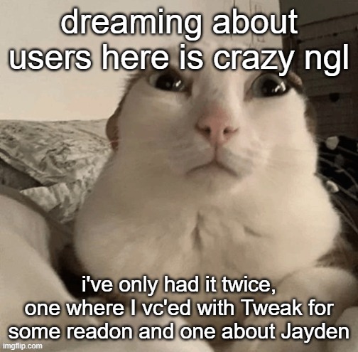 goober | dreaming about users here is crazy ngl; i've only had it twice, one where I vc'ed with Tweak for some readon and one about Jayden | image tagged in goober | made w/ Imgflip meme maker