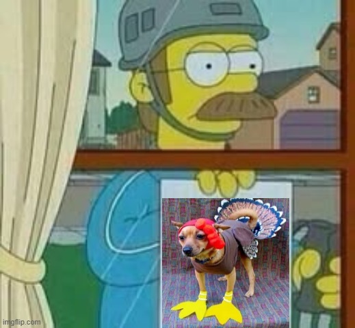 Turkey dog | image tagged in ned flanders holding up note | made w/ Imgflip meme maker