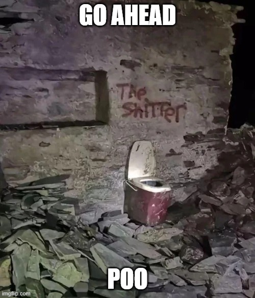 Aww shit | GO AHEAD; POO | image tagged in memes,pooper | made w/ Imgflip meme maker