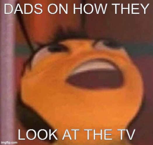 Dads way at looking at TV | DADS ON HOW THEY; LOOK AT THE TV | image tagged in bee movie | made w/ Imgflip meme maker
