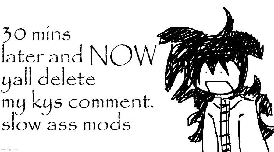 another bullshit template no one gaf about | 30 mins later and NOW yall delete my kys comment. slow ass mods | image tagged in another bullshit template no one gaf about | made w/ Imgflip meme maker