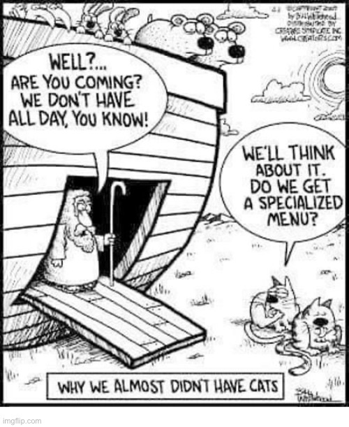 It figures… | image tagged in cats,comics/cartoons,noah's ark,picky cats | made w/ Imgflip meme maker