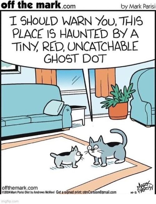 Beware “the dot”… | image tagged in cats,comics,off the mark,ghost dot | made w/ Imgflip meme maker