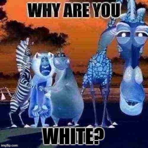 type shit | WHITE? | image tagged in why are you black | made w/ Imgflip meme maker