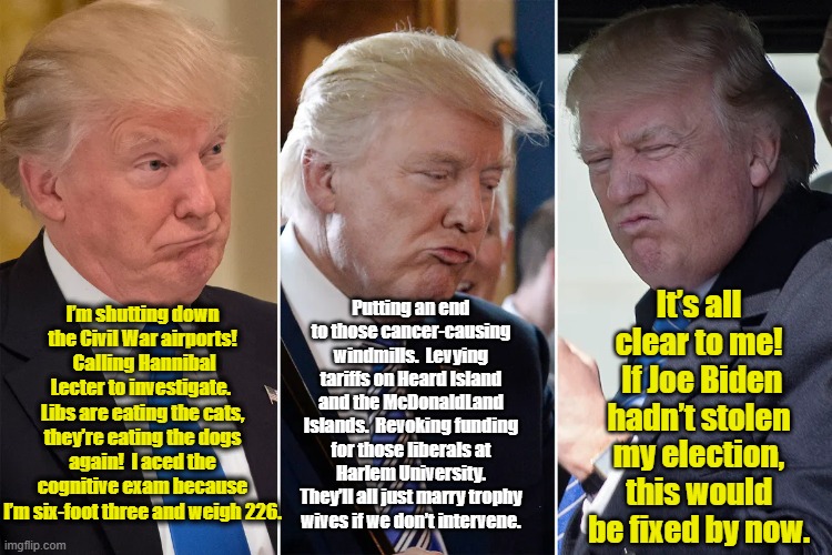 Stable Genius Speaks | It’s all clear to me!  If Joe Biden hadn’t stolen my election, this would be fixed by now. I’m shutting down the Civil War airports!  Calling Hannibal Lecter to investigate.  Libs are eating the cats, they’re eating the dogs again!  I aced the cognitive exam because I’m six-foot three and weigh 226. Putting an end to those cancer-causing windmills.  Levying tariffs on Heard Island and the McDonaldLand Islands.  Revoking funding for those liberals at Harlem University. They’ll all just marry trophy wives if we don’t intervene. | image tagged in donald trump memes,nevertrump,donald trump the clown,donald trump is an idiot,presidential alert,donald trump approves | made w/ Imgflip meme maker