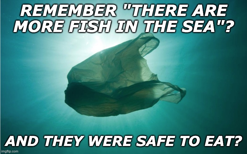 There are still ways to make it better: say no to single-use plastic | REMEMBER "THERE ARE MORE FISH IN THE SEA"? AND THEY WERE SAFE TO EAT? | image tagged in ocean plastic,fish,climate change | made w/ Imgflip meme maker