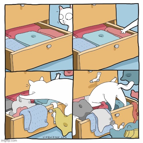 Keep those drawers closed… | image tagged in cats,comics,folded and neat,ransack | made w/ Imgflip meme maker